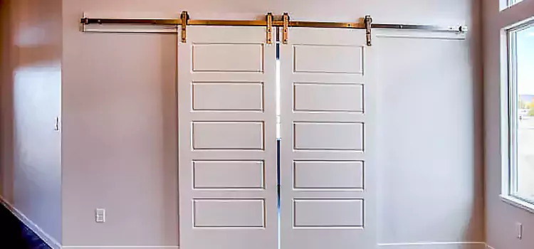 Glass Barn Door with Installation Hardware Kit Burke